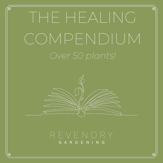 The Healing Compendium